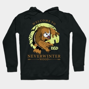 welcome to neverwinter Hoodie